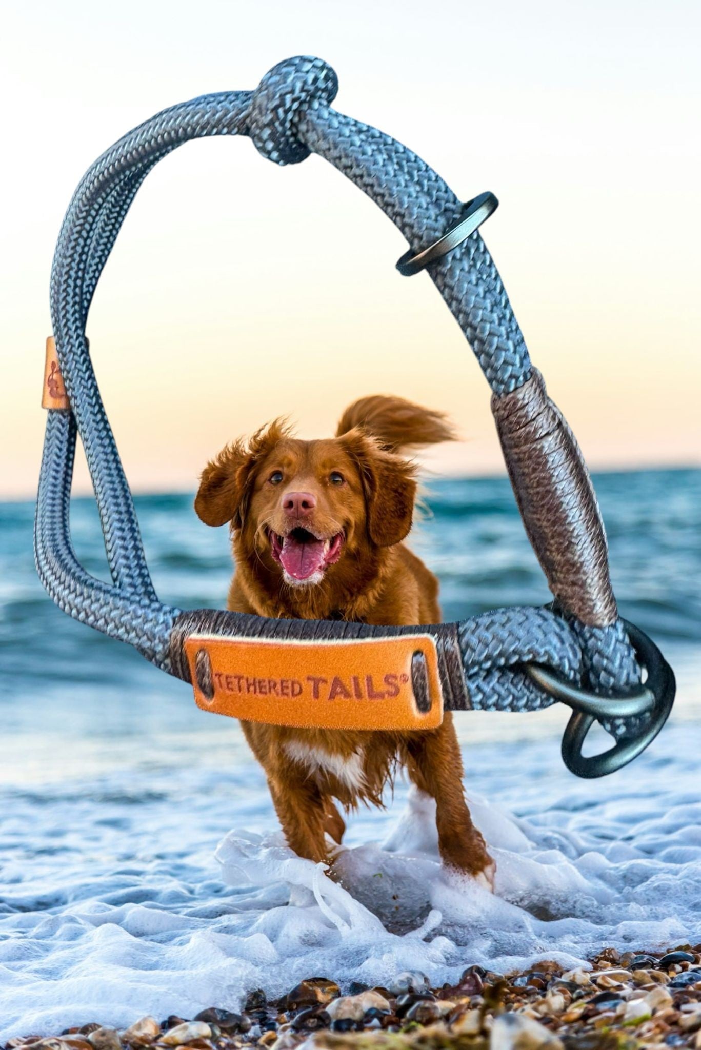 Tethered Tails Slip & Stroll Slip-Lead Collar