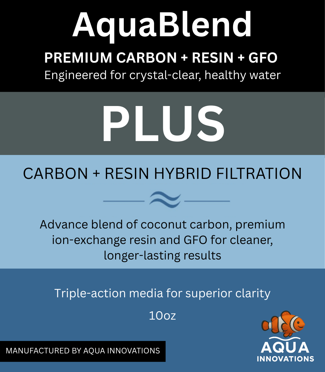 Aqua Innovations AquaBlend Plus – 10oz