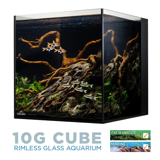 IceCap 10 Gal All-In-One Cube Aquarium
