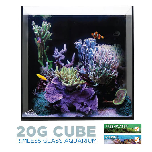 IceCap 20 Gal All-In-One Cube Aquarium