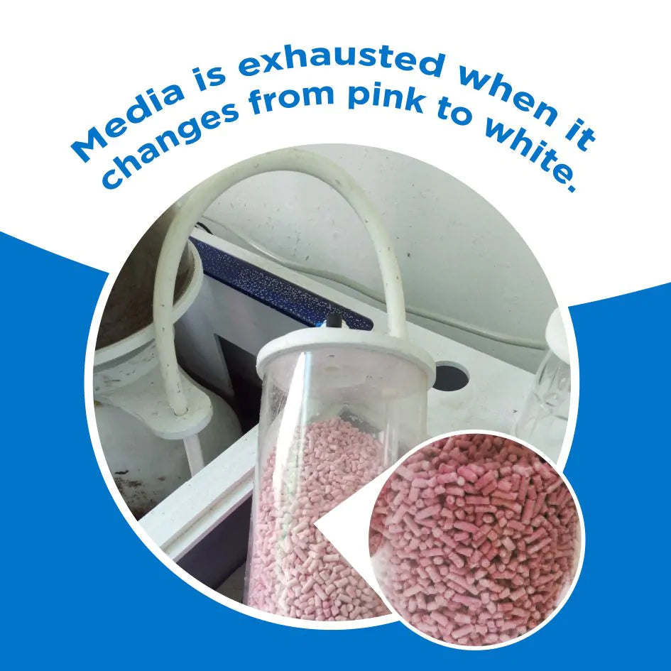 IceCap Color-Changing CO₂ Absorbent Media – 1 kg