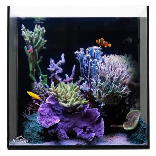 IceCap 38 Gal All-In-One Cube Aquarium